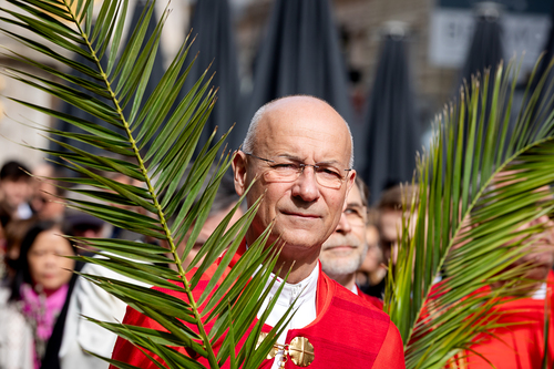 2025 Palmsonntag / Erzdiözese Wien/ Schönlaub, Stephan Schönlaub