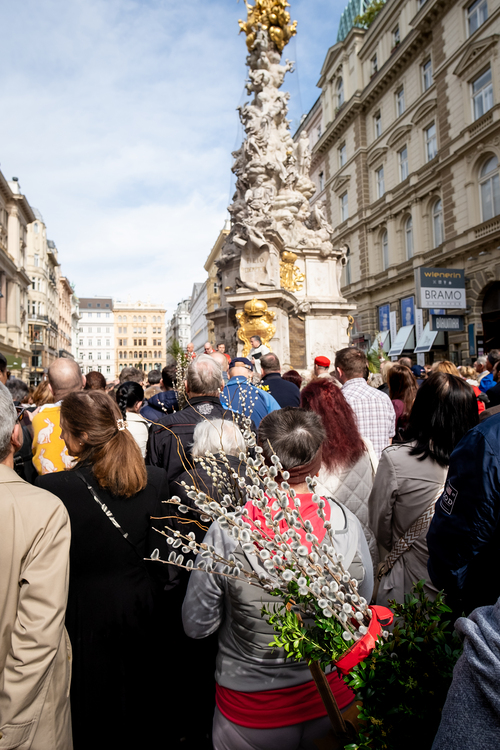 2025 Palmsonntag / Erzdiözese Wien/ Schönlaub, Stephan Schönlaub