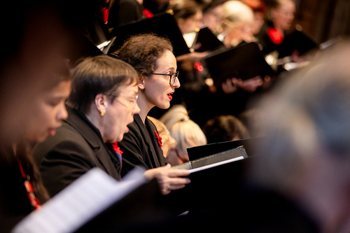Te-Deum Papst Leo XIV / Erzdiözese Wien/Schönlaub, Stephan Schönlaub