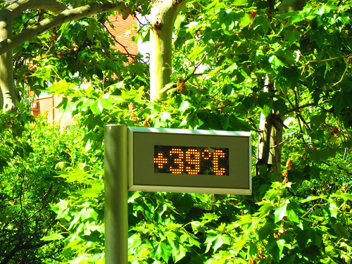 39 degrees celsius of temperature in the city Madrid  . Spain