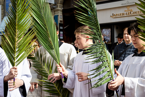2025 Palmsonntag / Erzdiözese Wien/ Schönlaub, Stephan Schönlaub